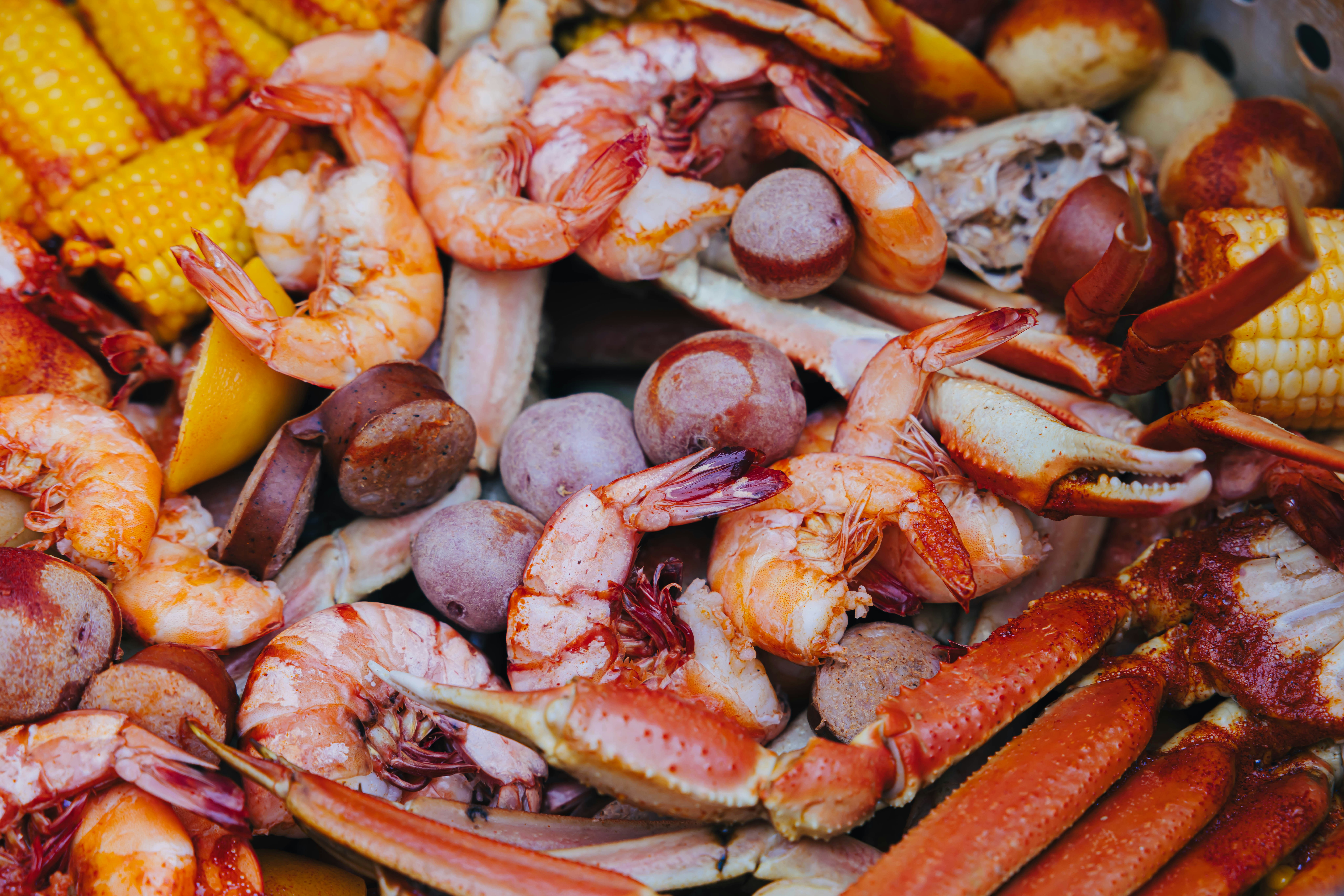 Mexican Cuisine